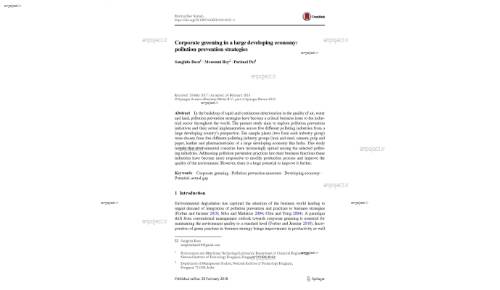 Corporate greening in a large developing economy: pollution prevention strategies